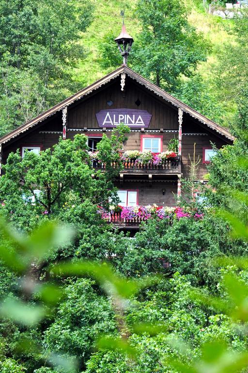 Landhaus Alpina Pension Mittersill Buitenkant foto