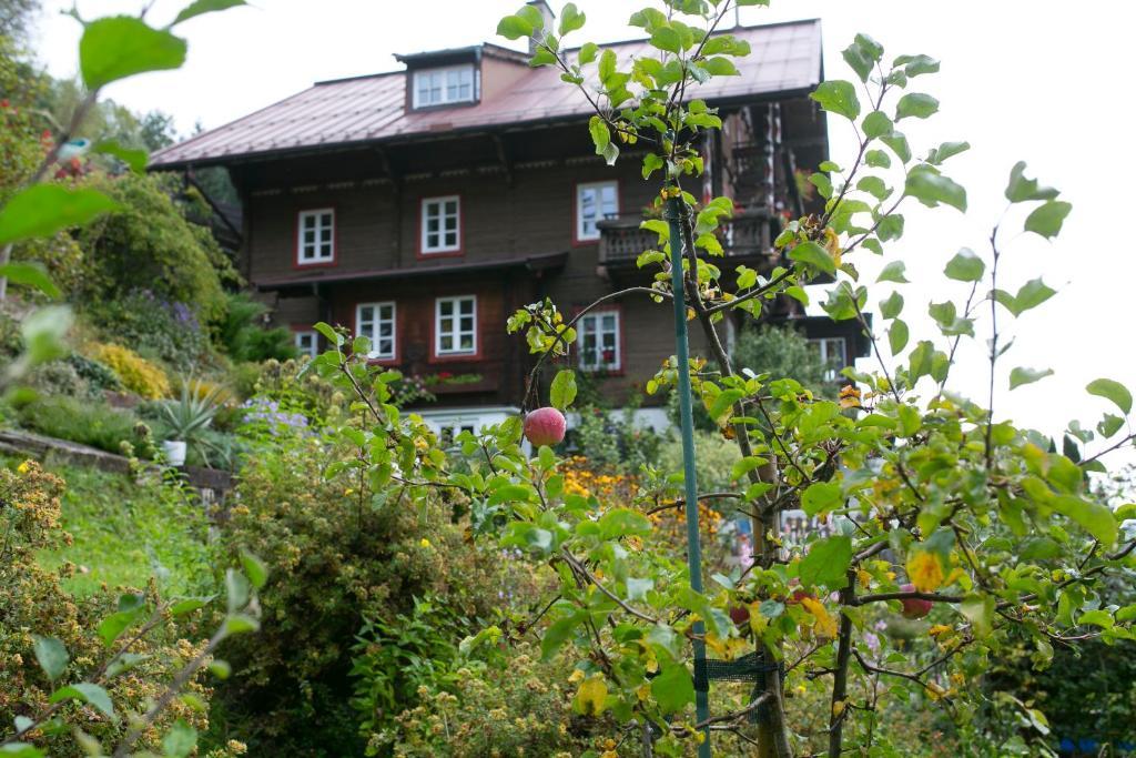 Landhaus Alpina Pension Mittersill Buitenkant foto